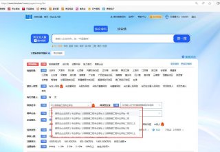 他们具有专业的技艺团队和优秀的配置